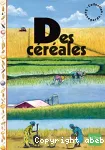 Des céréales vignette