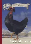 La petite poule noire vignette