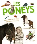 Les poneys vignette