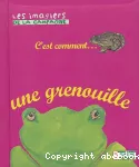 vignette