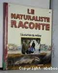 vignette
