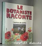 vignette