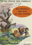 vignette