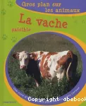 vignette
