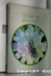 vignette